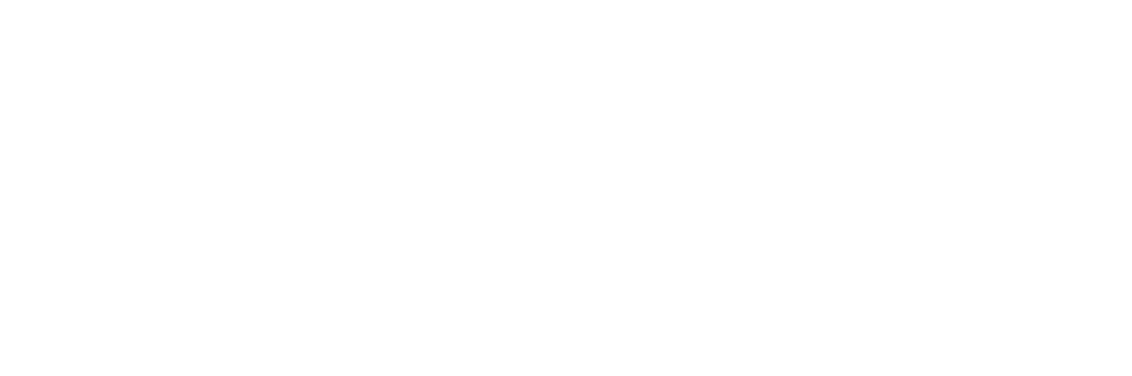Intelligence Authentique — Travailler sur la qualité de la Relation soi-même et au Monde, sur la compréhension des mécanismes qui nous influencent.